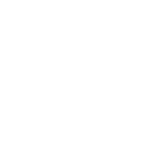 ASI-Clients-Tesla